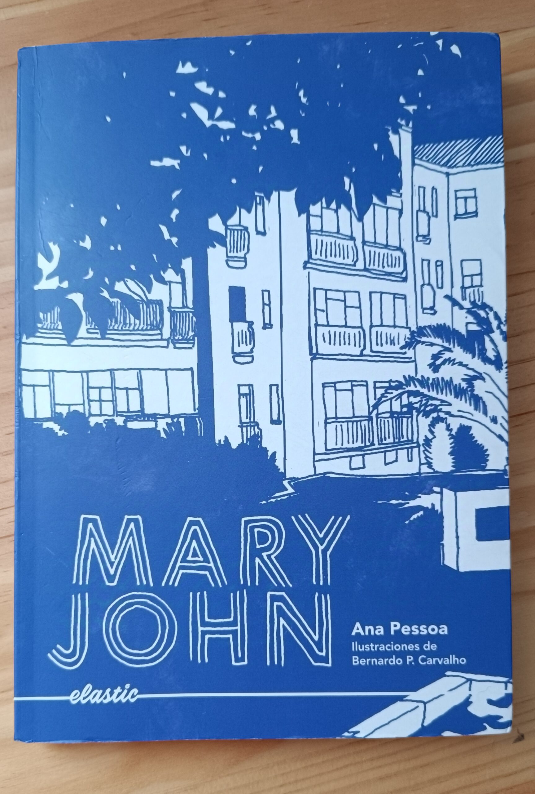 mary john reseña