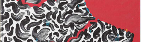 quince ocasiones para pedir deseos en la calle portada limonero